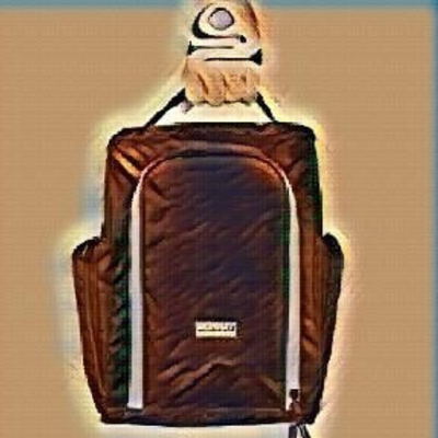 Can a Golf Shoe Bag Make Your Game Better?