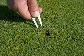 Golf Divot Tool