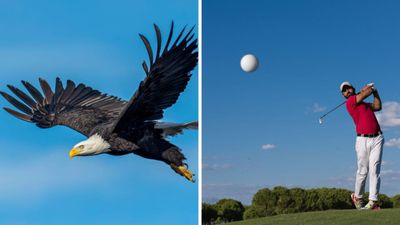 Achieve The Impossible: Learn How to Score An Eagle in Golf