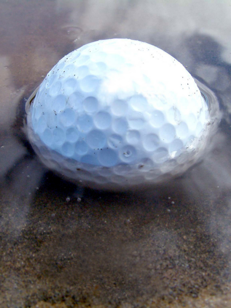 Golf Ball Retrievers: The Ultimate Guide To Choosing The Perfect One For You!