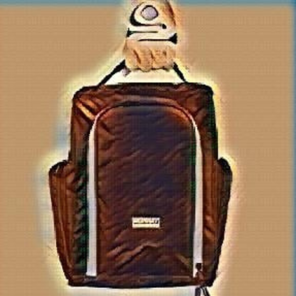 Can a Golf Shoe Bag Make Your Game Better?