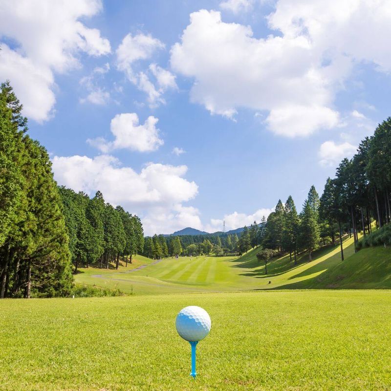 The Incredible Growth of the Golf Industry